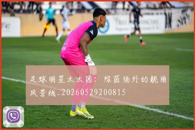 足球明星太太团:绿茵场外的靓丽风景线_20260529200815