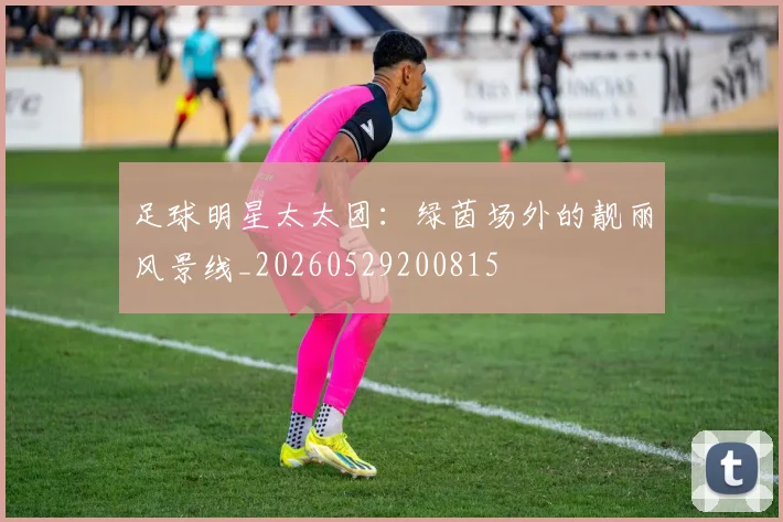 足球明星太太团：绿茵场外的靓丽风景线_20260529200815