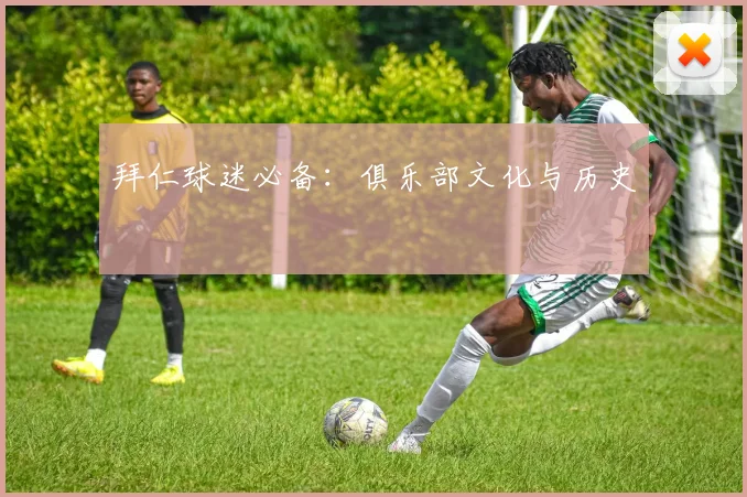 拜仁球迷必备：俱乐部文化与历史